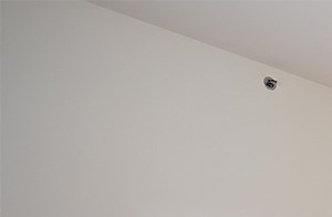 One Bedroom Apartment Style at Lake Oaks Apartments